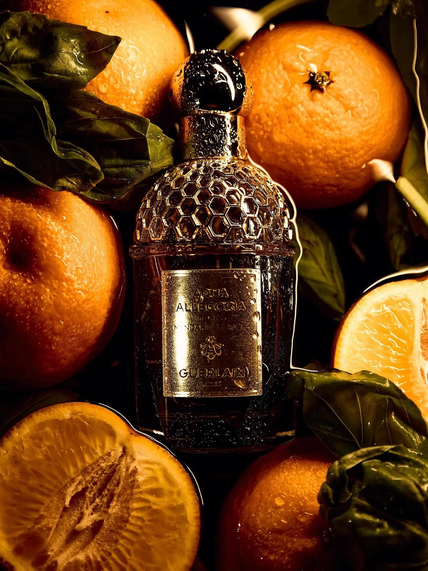 Kate Ushakova — Commercial portfolio, image 1